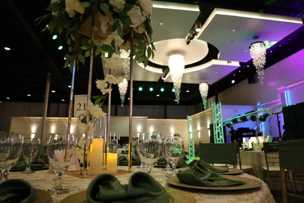 Decorations, Centerpieces, Napkins, Chargers, Chair Backs, Linen, Balloon Arches, Floral Arrangements, Napkin Designs, Color Schemes, Decoration Services, Decoration Packages, Elegant Decor, Chandeliers